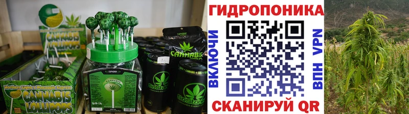 наркошоп  мориарти телеграм  Canna-Cookies конопля  Ильский 