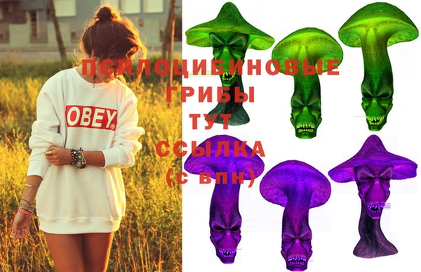 марки lsd Абаза