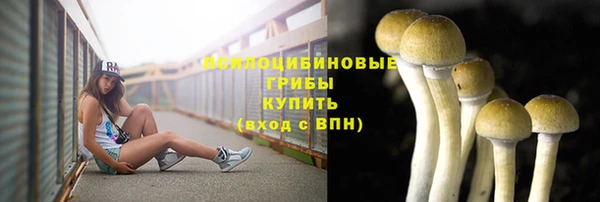 марки lsd Абаза