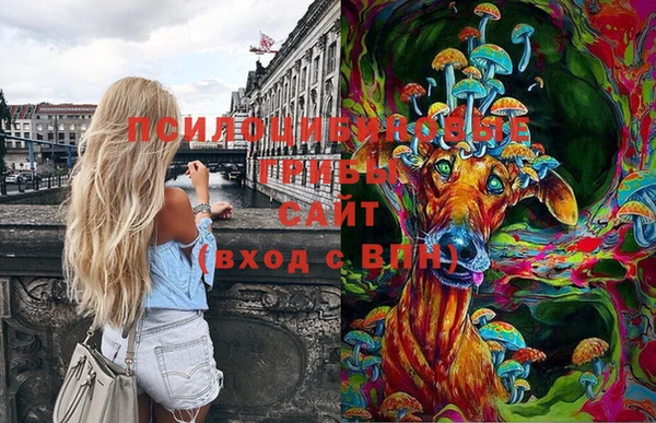 марки lsd Абаза