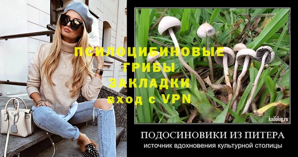 марки lsd Абаза