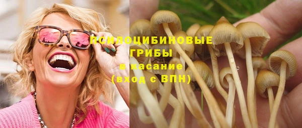 дурь Абдулино
